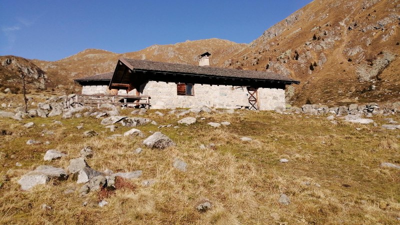 Giro ad anello Campiglio - Malga Valchestria